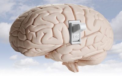 El deseo de comer localizado en el cerebro