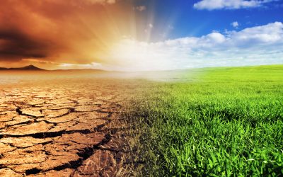 Claves para afrontar la Depresión