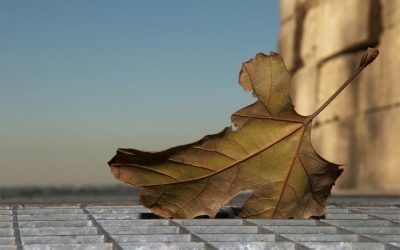 LA DEPRESIÓN COMO REGALO DE NAVIDAD