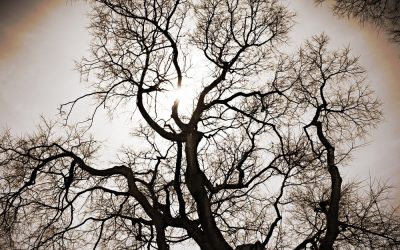 Las Autolesiones en adolescentes ¿Una Moda?